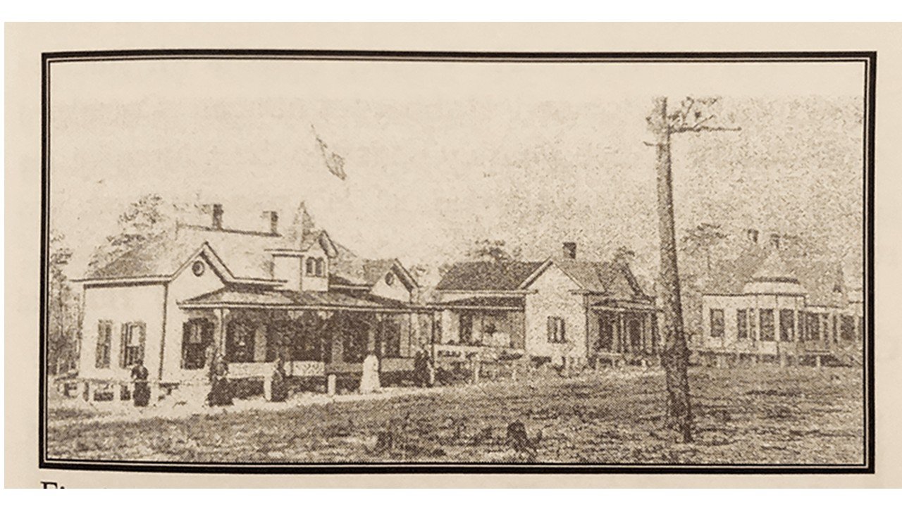 early southern pines early southern pines